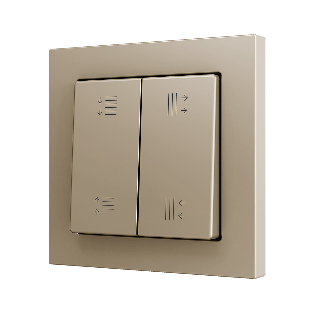 Zennio ZS55 - Dubbele schakelaarafdekking met custom print (Champagne) - VPE=10