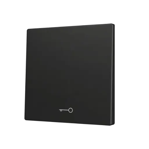 [ZEZS70CSOFT11KA] Zennio ZS70 - Touche simple (appui en bas) pour bouton poussoir KNX Soft - Icône de clef (Anthracite)