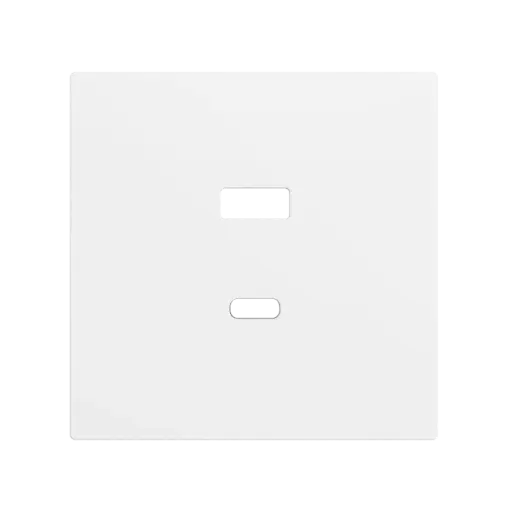 [ZEZS70C2UCAMW] Zennio ZS70 - Cache USB C+A (Blanc mat)