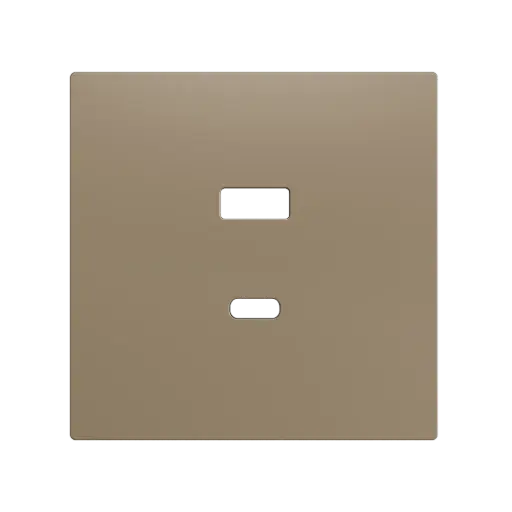 [ZEZS70C2UCAC] Zennio ZS70 - USB C+A centraalplaat (Champagne)